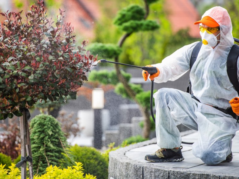 Zara Haşere İlaçlama