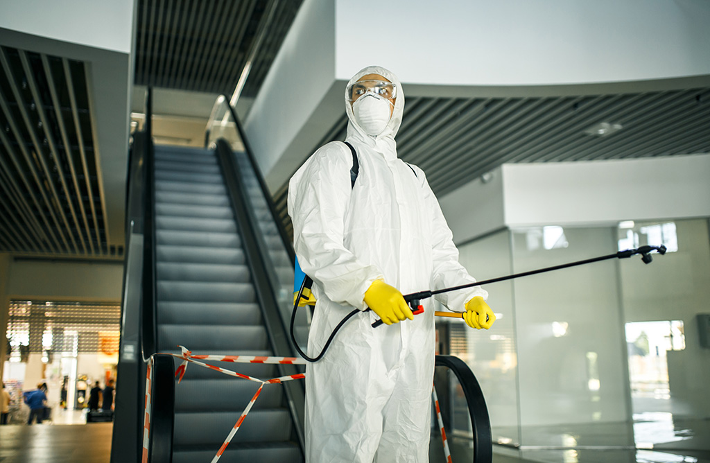 Zara Haşere İlaçlama